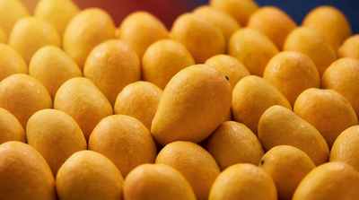 Mango 12 Pieces